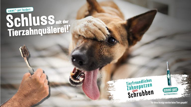 Appell an Hundebesitzer: „Schluss mit der Tierzahnquälerei“