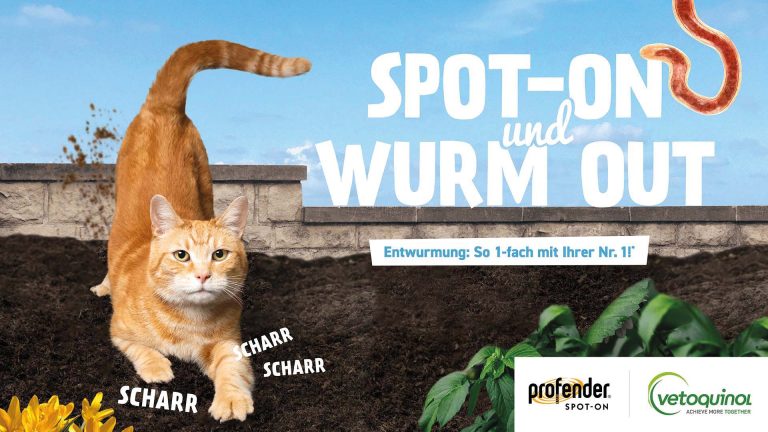 Schmittgall HEALTH macht sich stark für Vetoquinol & Animal Health
