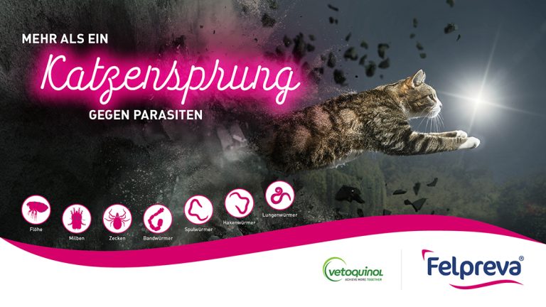 Schmittgall HEALTH macht Dampf gegen Würmer, Flöhe & Co.