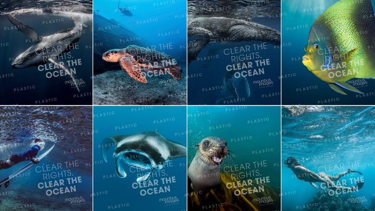 So einfach nutzen Jung von Matt und mauritius images digitale Wasserzeichen gegen Plastikverschmutzung.