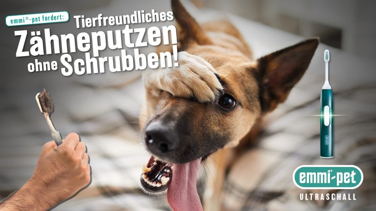 Schmittgall HEALTH bringt „Zähneputzen ohne Schrubben“ in die Tierarztpraxis