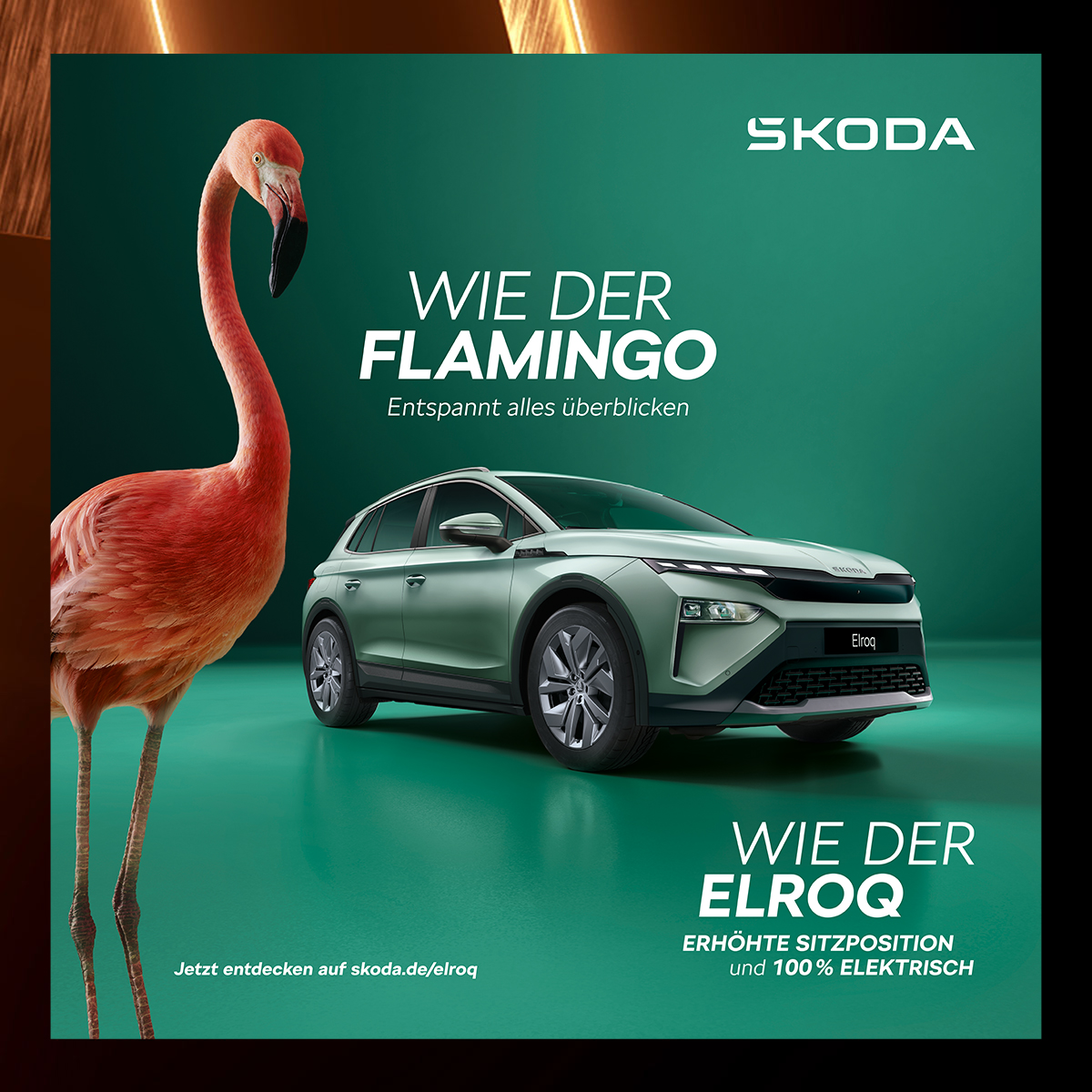Box Image