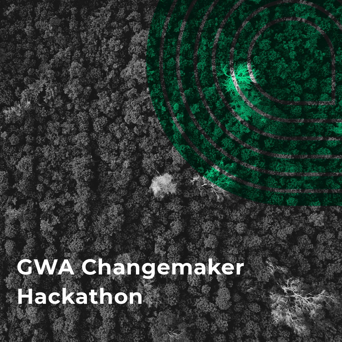 24052023_gwa_changemaker_website