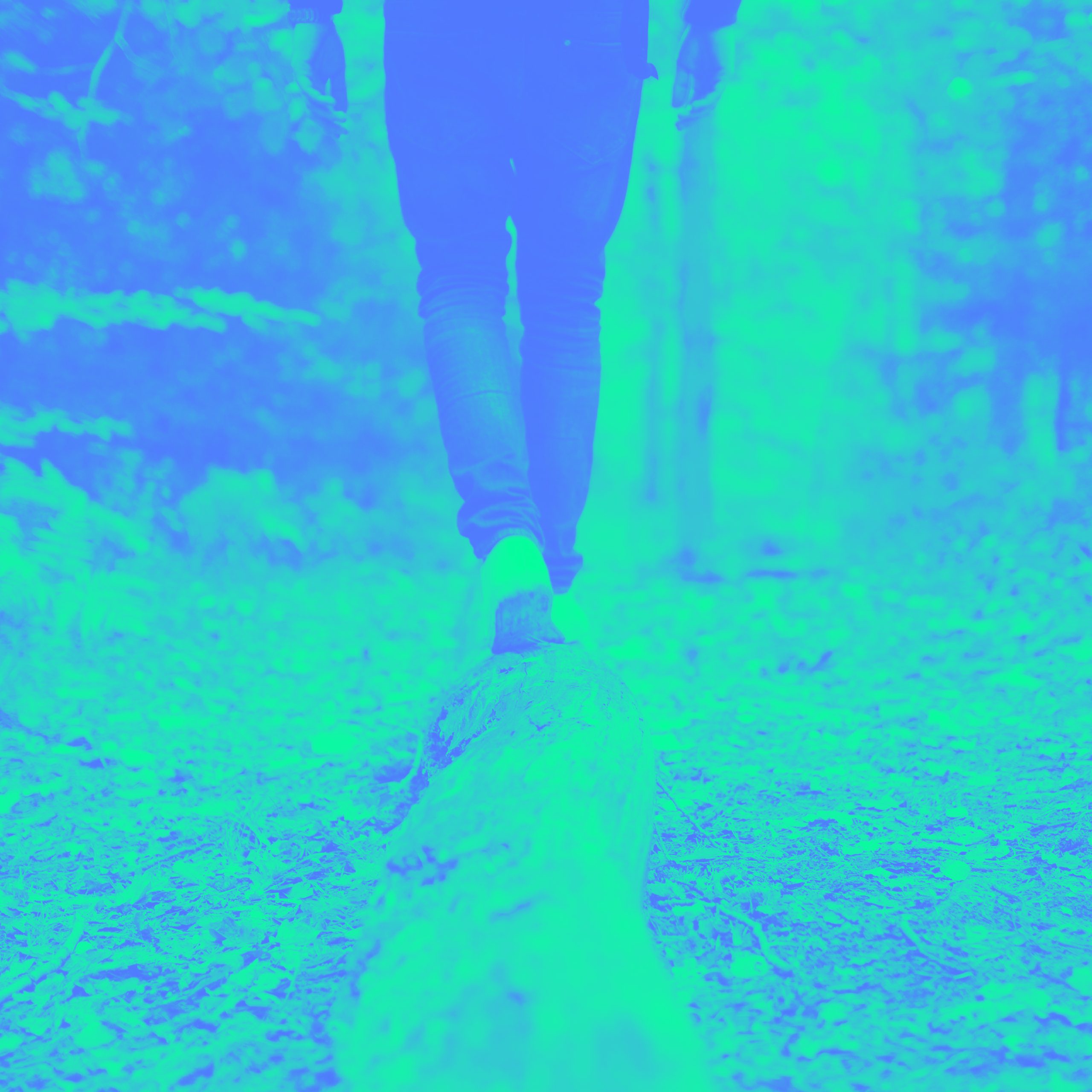 CPP